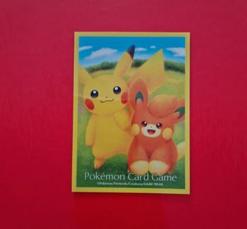 1 sleeve pokemon