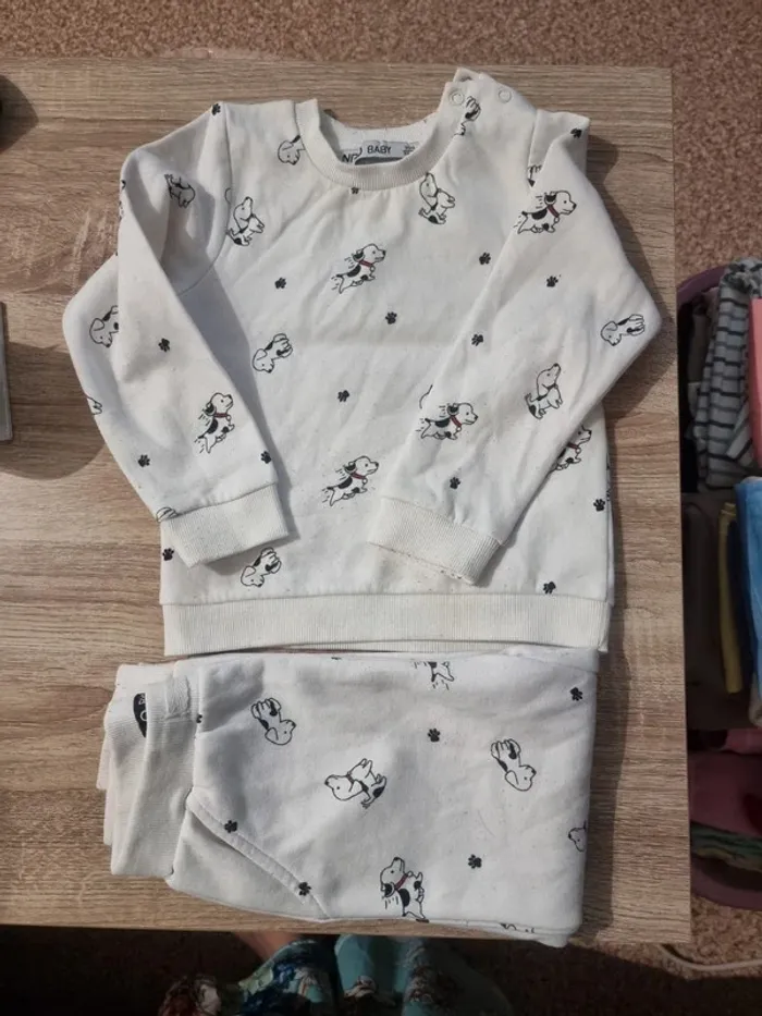 Ensemble dalmatien