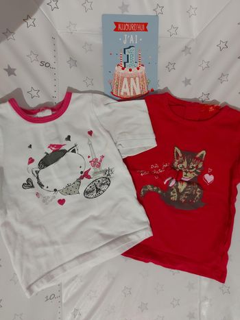 Lot 2 tee-shirt 12 mois