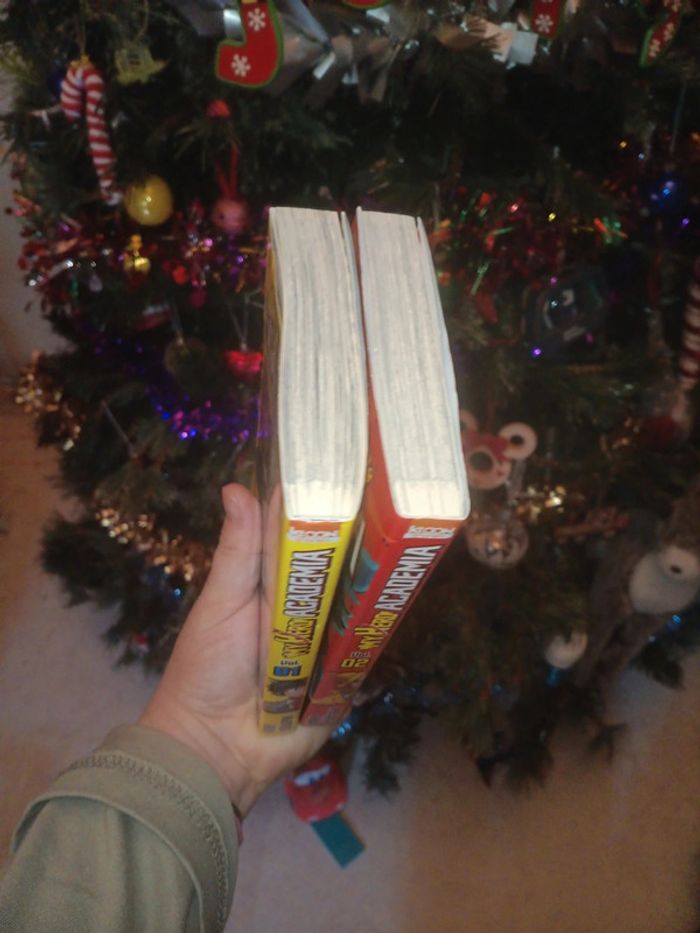 Manga My hero academia tome 1 et 2 - photo numéro 2