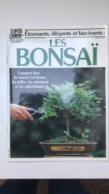 Les bonsaïs