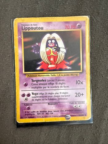 Lippoutou 1995
