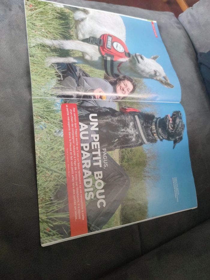 Magazine 30 millions d'amis numéro 374 été 2019 - photo numéro 7