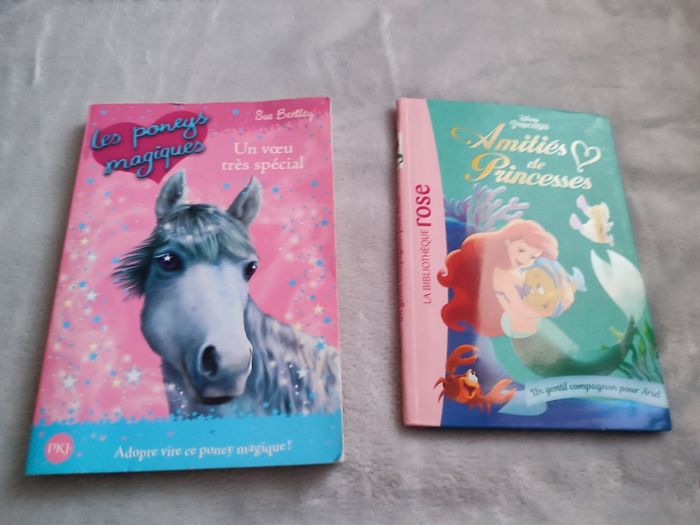 Ariel et Poneys magique