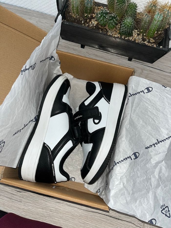 Basket champion 34 - photo numéro 2