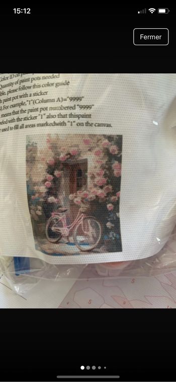 Kit complet de peinture par numéro - Neuf