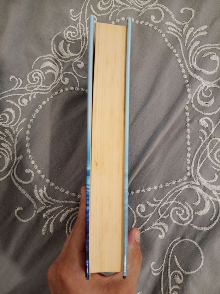 Livre (20) 📚 Le temps d'un ouragan - photo numéro 3