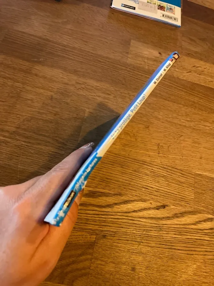 Livre premières lectures Les animaux de Lou Je te protège, Petit Loup ! - photo numéro 2