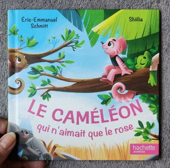 Roman Jeunesse "Le Caméléon qui n'aimait que le rose" - Contes d'Animaux Étonnants (4-6 ans) / Hachette 