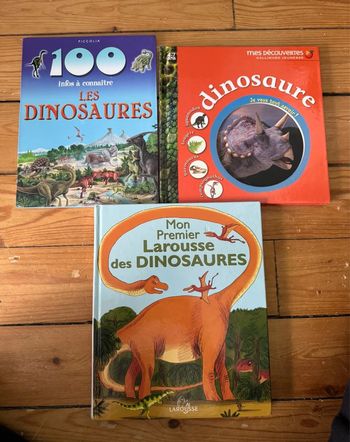 Lot livres dinosaures