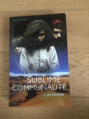 La sublime communauté -Emmanuelle Han