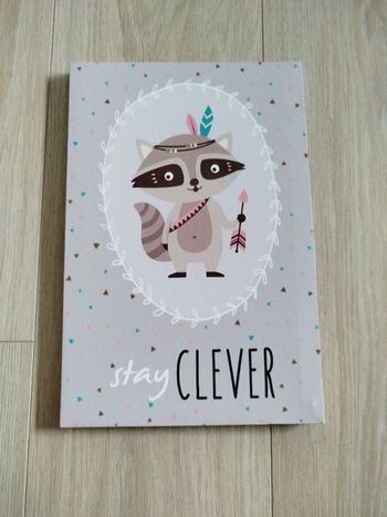 Cadre raton laveur indien