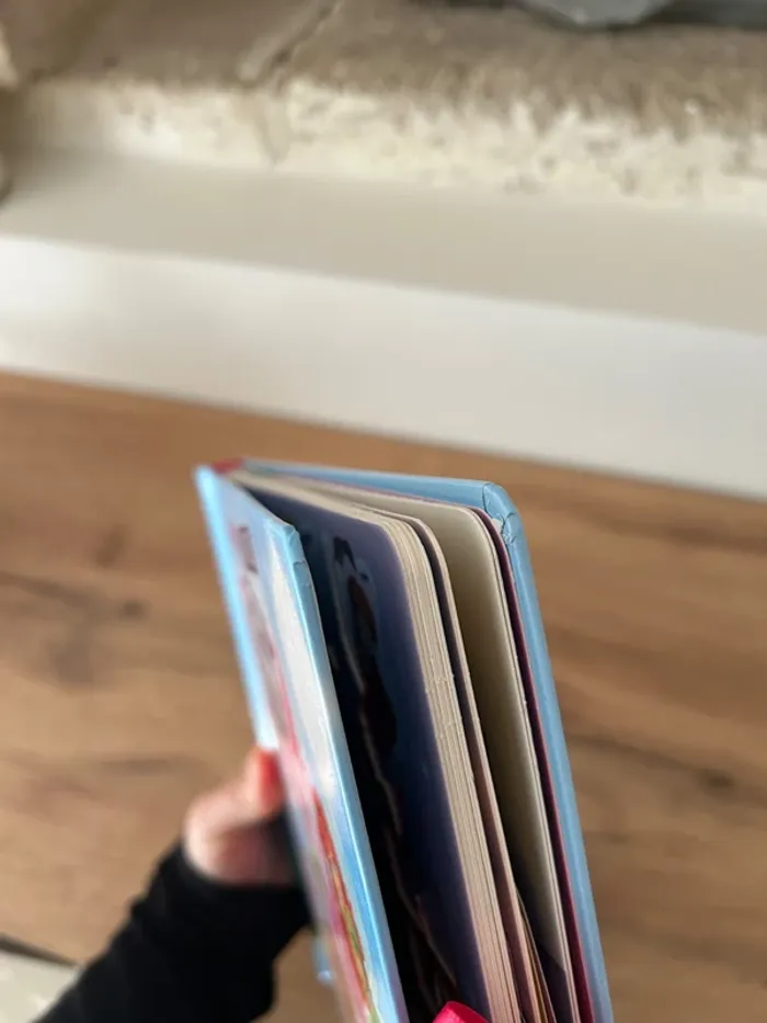 Livre carrousel fées des neiges - photo numéro 12