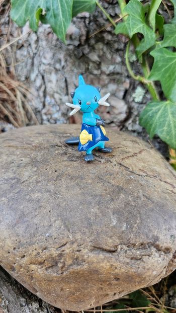 Super figurine Pokemon Nintendo tomy mateloutre