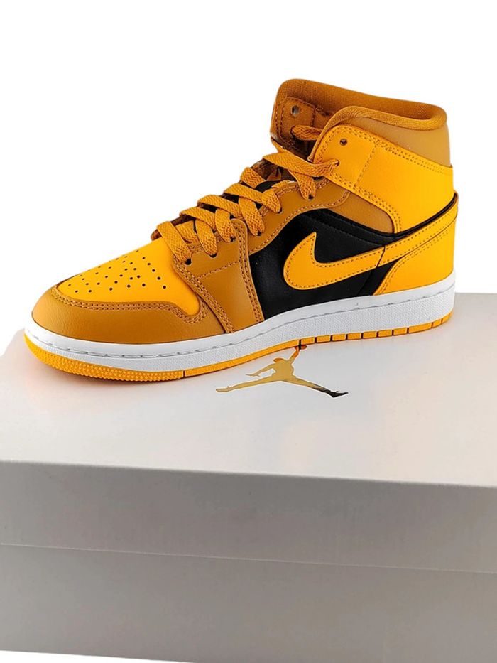 Paire de baskets Air Jordan 1 Mid montantes