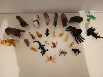 Lot animaux différents