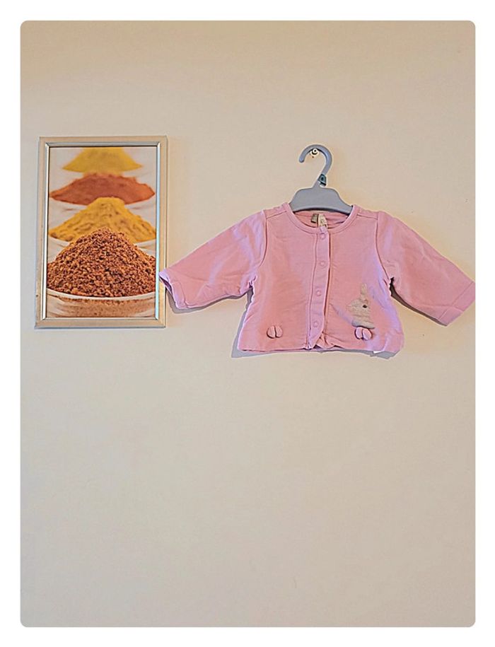 Gilet rose orchestra avec un lapin taille 1 mois