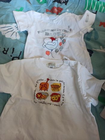 Lot de 2 t-shirt
