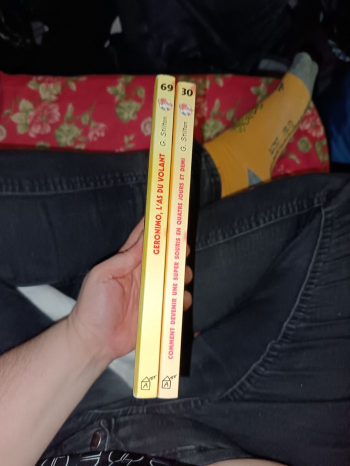 Lot Geronimo Stilton - photo numéro 4