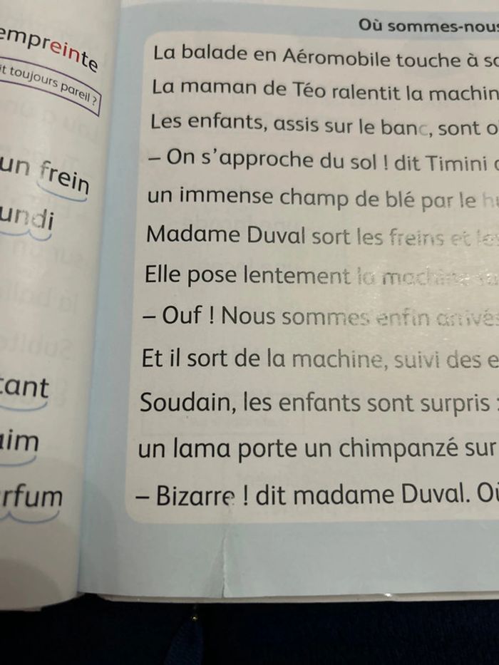 Livre timini manuel de code - photo numéro 5