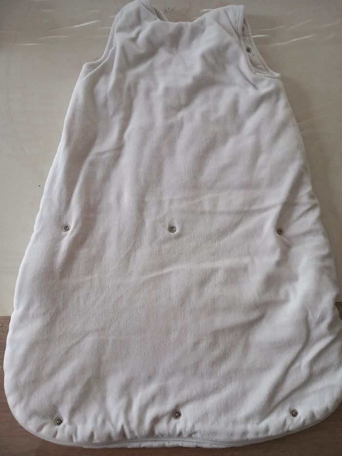 Gifoteuse lapingifo - photo numéro 4