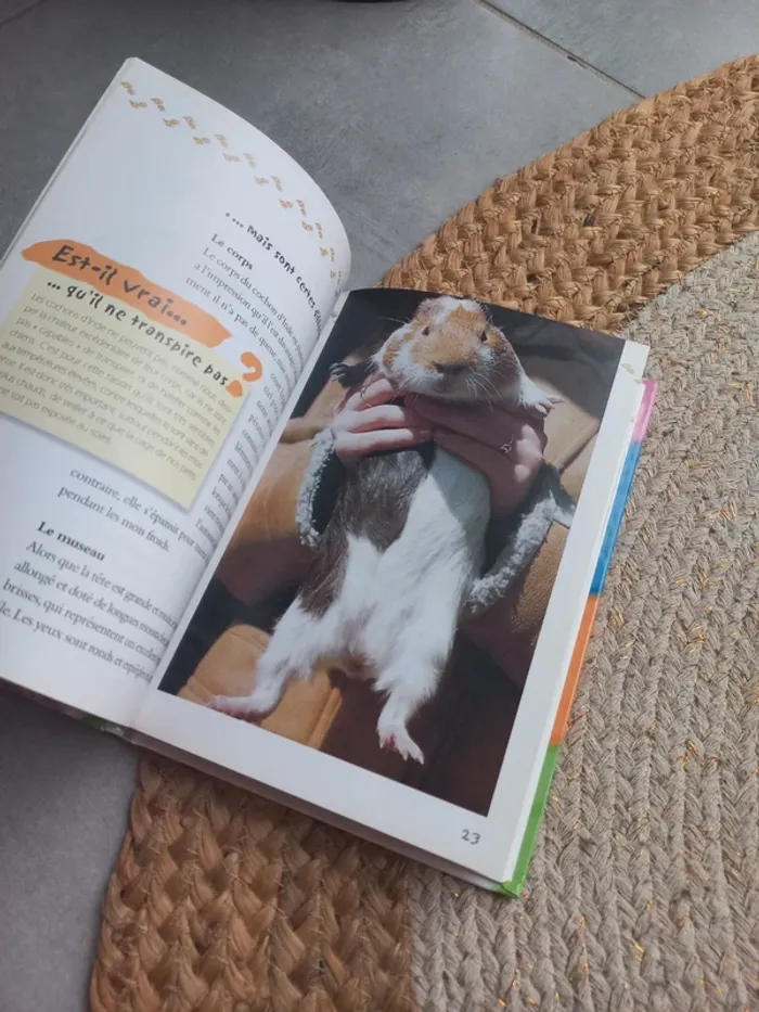 📖 Mon cochon d'Inde - Tenerezza - photo numéro 6