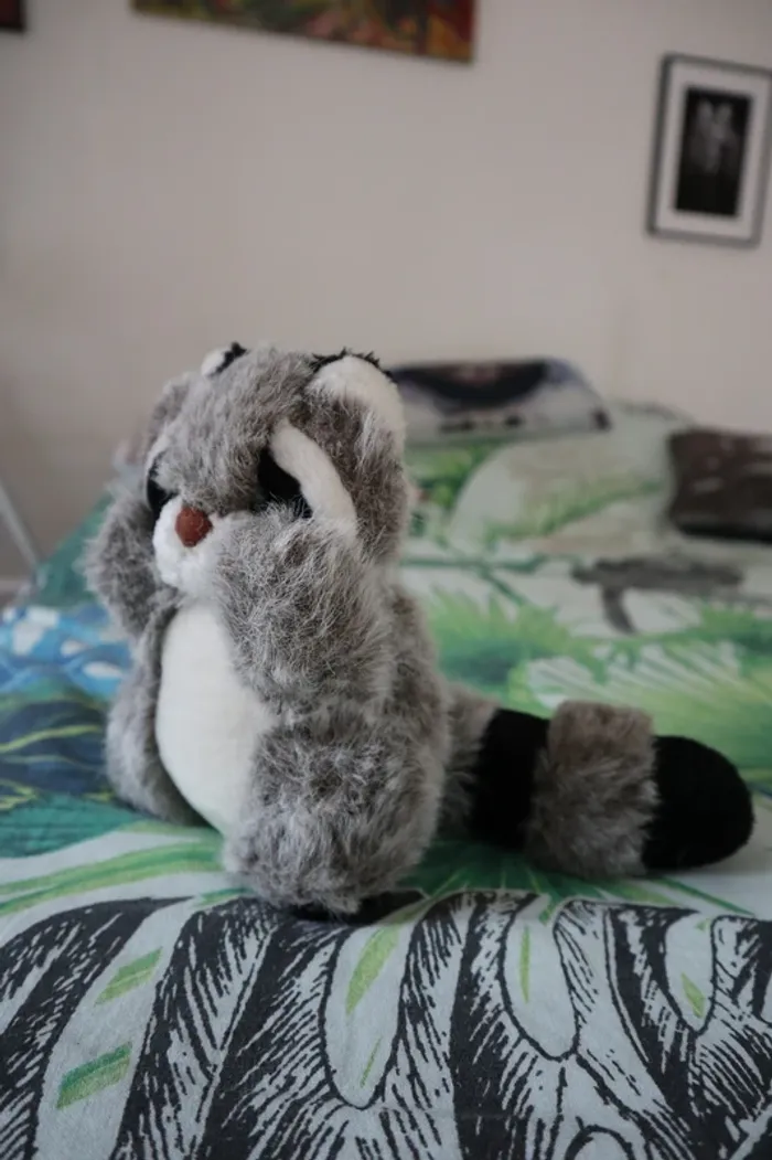 Peluche raton laveur - photo numéro 3