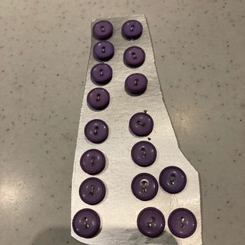 17 boutons violets