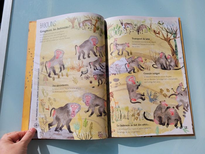 Grand livre 🐆 Nos Incroyables Bêtes Sauvages 🦥 - photo numéro 6