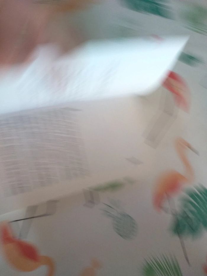 Livre Momo, petit prince des Bleuets - photo numéro 5