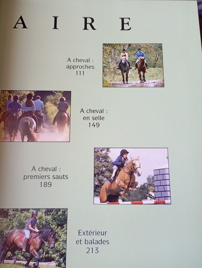 L'équitation les techniques de base - photo numéro 4