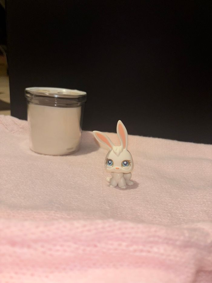 lapin #3 - photo numéro 2