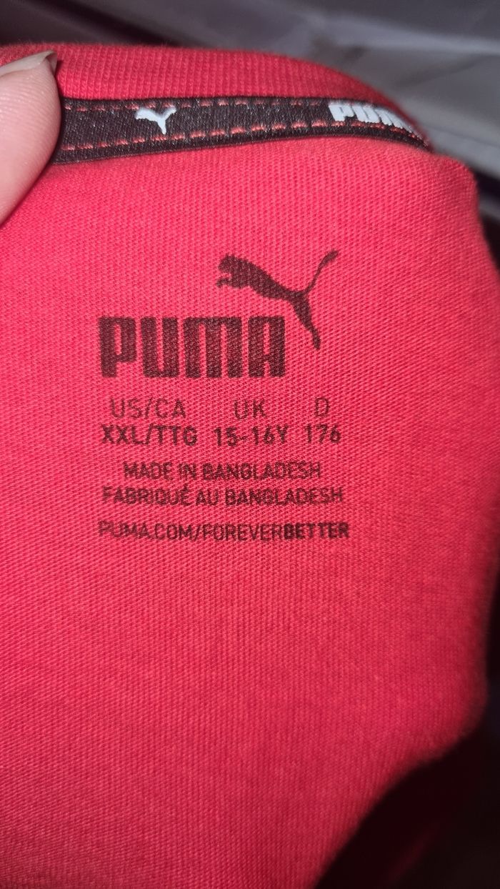 T-shirt - photo numéro 3