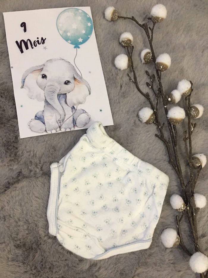 Lot slip / culotte 9 mois - photo numéro 3