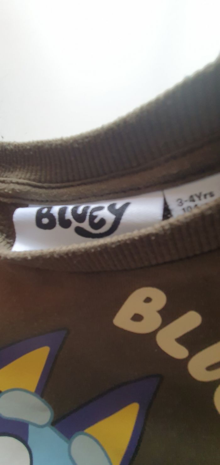 Sweat-shirt Bluey 3-4 ans - photo numéro 2