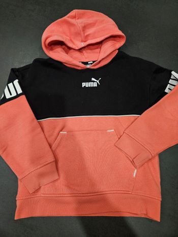 Sweat puma