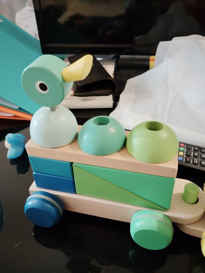 Train janod - photo numéro 4