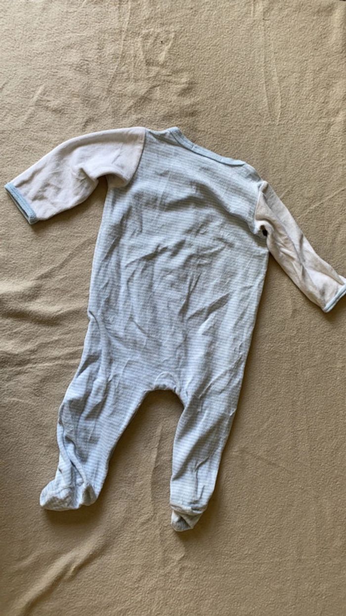 Grenouillère - photo numéro 2