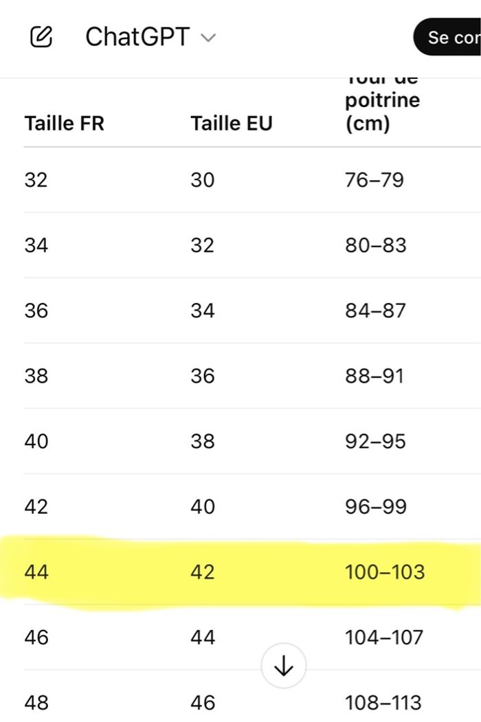 Chemisier noir manches longues - photo numéro 9