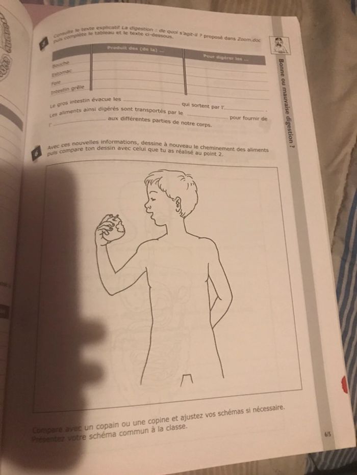 Lot livre zoom Cahier de démarche A et B 10-12 ans Van in - photo numéro 6