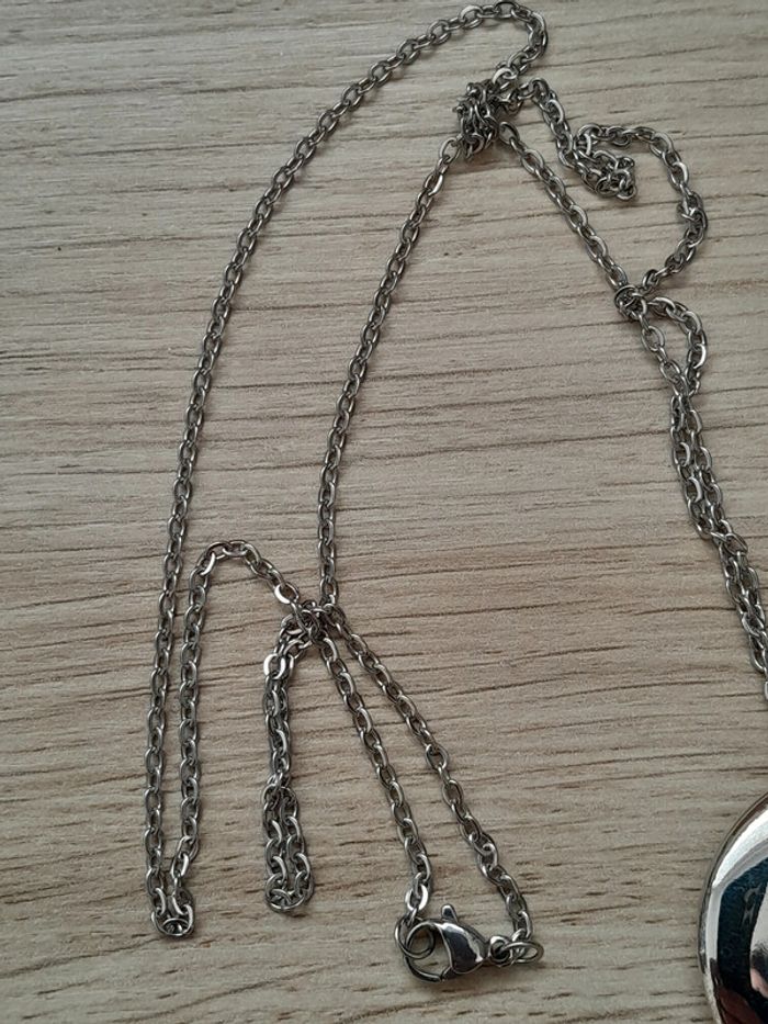 Collier médaillon "Plus que ma propre vie" Renesmée Cullen, Twilight - photo numéro 4