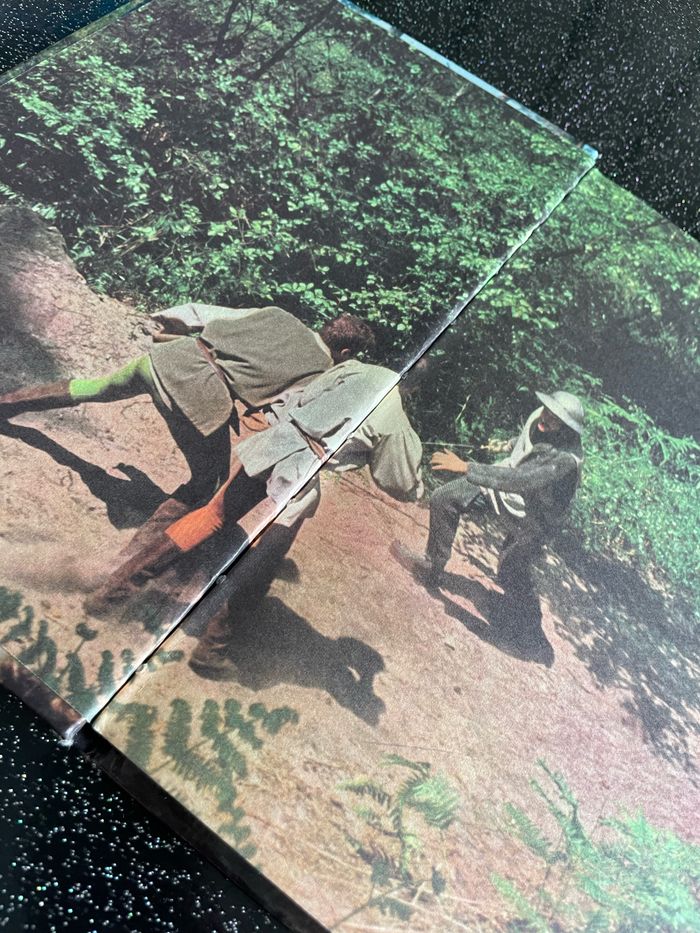 Thierry la Fronde - photo numéro 2