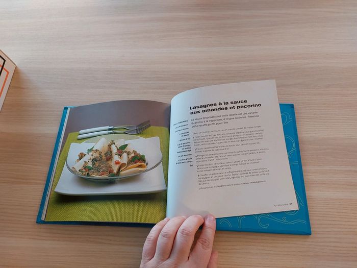 Livre lasagne - photo numéro 8