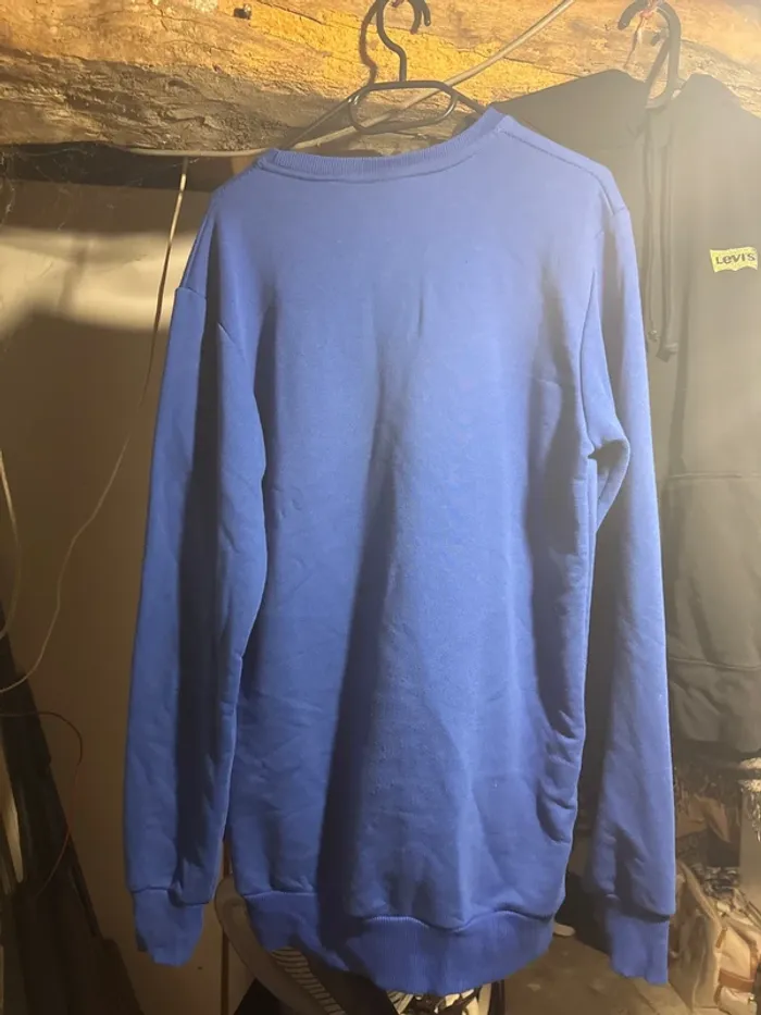 Pull/ sweat sans capuche bleu avec lion coloré - photo numéro 4