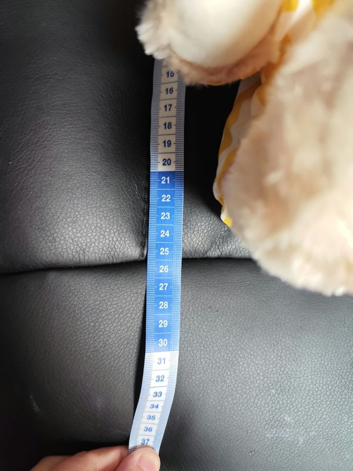 Peluche ourson Giorgio 2022. - photo numéro 7