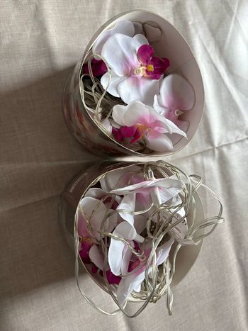 2 guirlandes lumineuses fleurs orchidées 