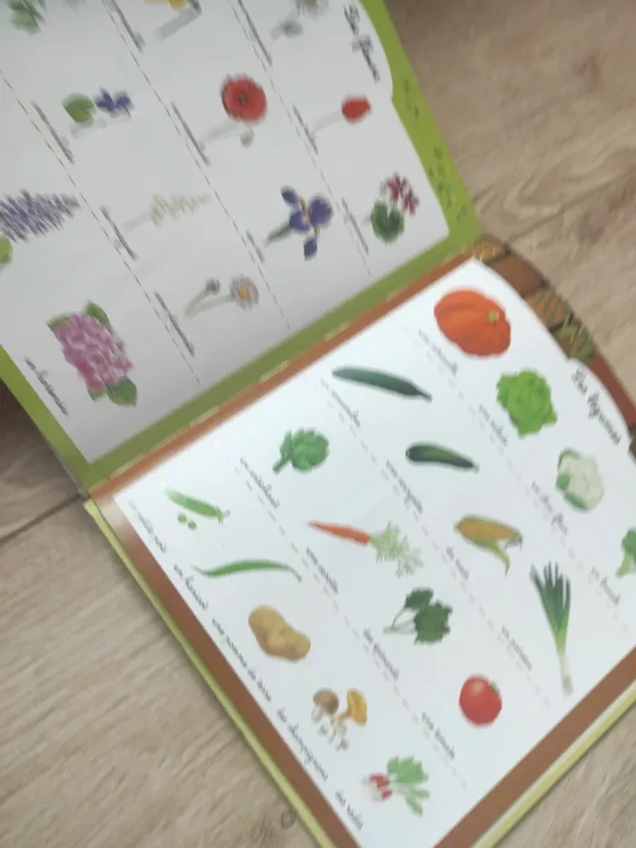 Mon premier dictionnaire Nathan 3-6 ans - photo numéro 4