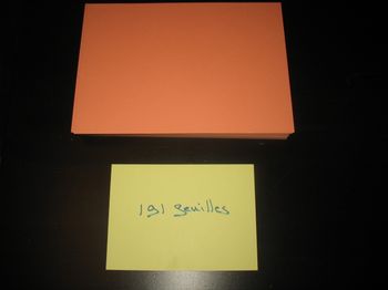 LOT DE 191 FEUILLES A4 - CORAIL - 120 GR - n°40