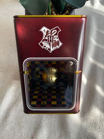 Tirelire Harry Potter