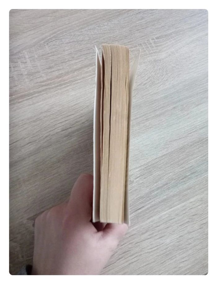 Les planètes en sursis, Jack Williamson - photo numéro 4